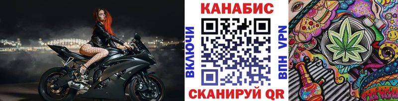 APVP Черняховск