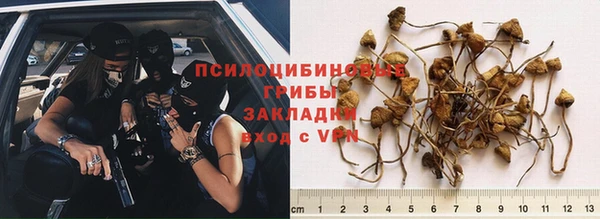 дурь Баксан