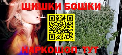 крисы Пыть-Ях