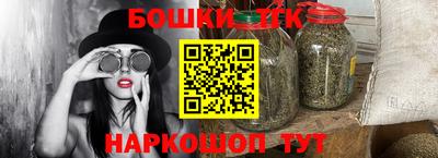 индика Пушкино