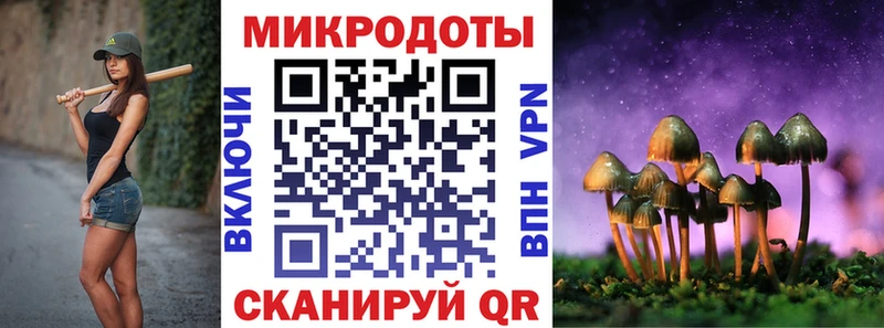 Псилоцибиновые грибы мицелий  shop Telegram  Черняховск 