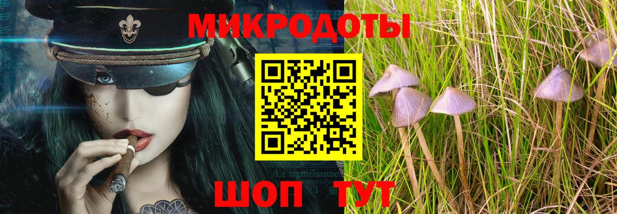 Галлюциногенные грибы мухоморы  Псилоцибиновые грибы MAGIC MUSHROOMS  Вход с VPN  Черняховск 